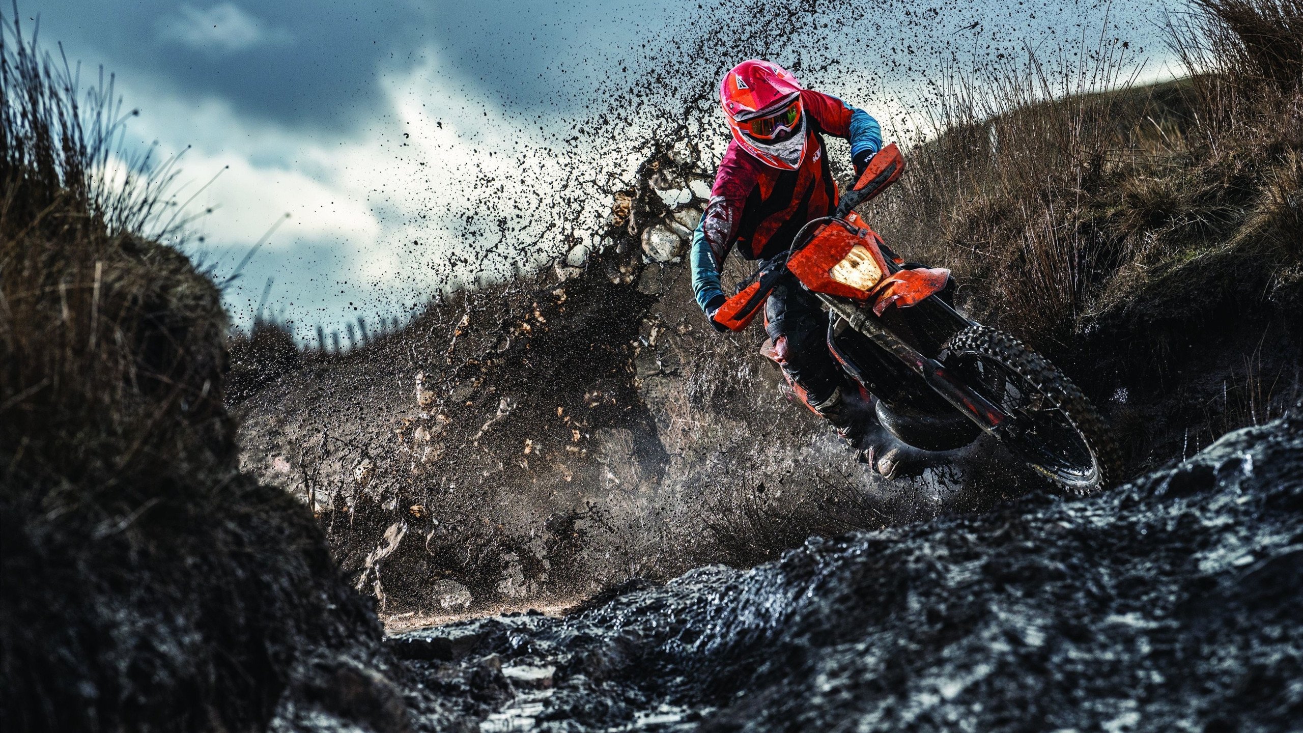 塔特的场上冷静与决断力,让袋鼠队充满信心